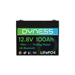Dynesspower 12V 100Ah Group 24 Bluetooth-Enabled LiFePO4 Deep Cycle Battery