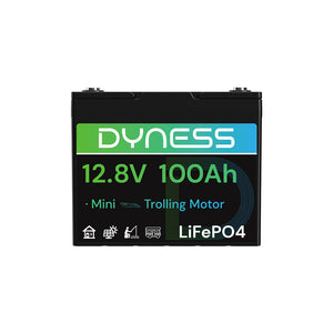 Dynesspower 12V 100Ah Group 24 LiFePO4 Lithium Deep Cycle Battery
