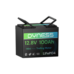Dynesspower 12V 100Ah Group 24 LiFePO4 Lithium Deep Cycle Battery