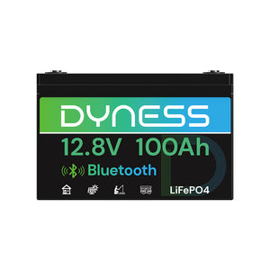 Dynesspower  12V 100Ah Lithium Battery with Bluetooth