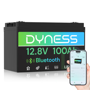 Dyness 12V 100Ah Lithiumbatterie mit Bluetooth