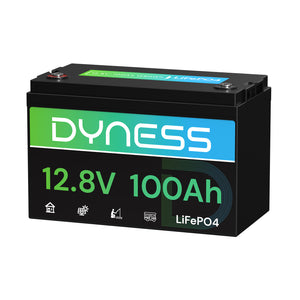 Dyness AR1.2 12V 100Ah LiFePO4 Batterie