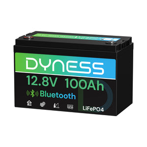 Dyness 12V 100Ah Lithiumbatterie mit Bluetooth