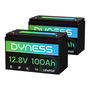 Dyness AR1.2 12V 100Ah LiFePO4 Batterie
