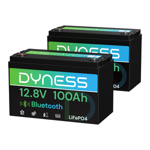 Dyness 12V 100Ah Lithiumbatterie mit Bluetooth