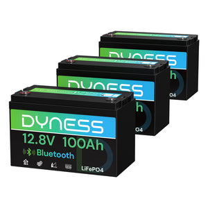 Dyness 12V 100Ah Lithiumbatterie mit Bluetooth