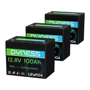 Dynesspower 12V 100Ah Group 24 LiFePO4 Lithium Deep Cycle Battery