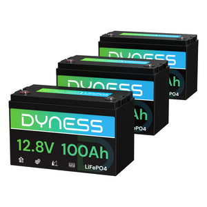 Dyness AR1.2 12V 100Ah LiFePO4 Batterie