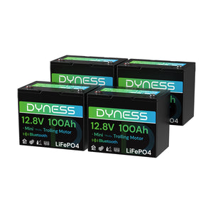 Dynesspower 12V 100Ah Group 24 Bluetooth-Enabled LiFePO4 Deep Cycle Battery
