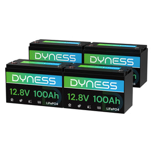 Dyness AR1.2 12V 100Ah LiFePO4 Batterie