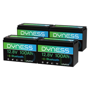 Dyness 12V 100Ah Lithiumbatterie mit Bluetooth