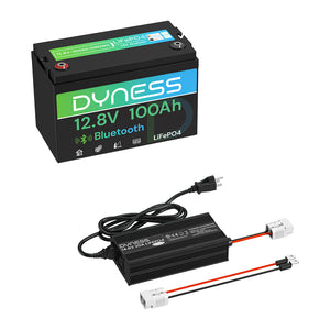 Dyness 12V 100Ah Lithiumbatterie mit Bluetooth