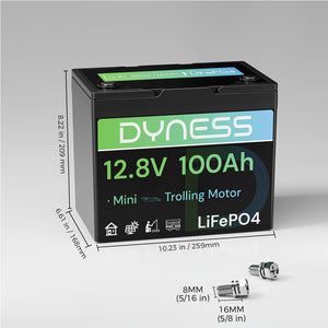 Dyness 12 V 100 Ah Gruppe 24 LiFePO4 Lithium-Deep-Cycle-Batterie