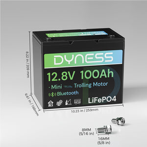 Dyness 12 V 100 Ah Gruppe 24 Bluetooth-fähige LiFePO4-Deep-Cycle-Batterie