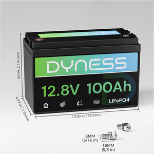 Dyness AR1.2 12V 100Ah LiFePO4 Batterie