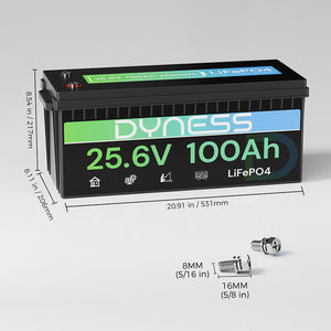 Dynesspower 24V 100Ah LiFePO4 Battery