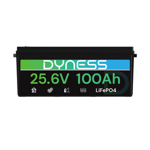 Dynesspower 24V 100Ah LiFePO4 Battery